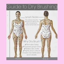 Load image into Gallery viewer, Boar Bristle Brush for Dry Brushing
